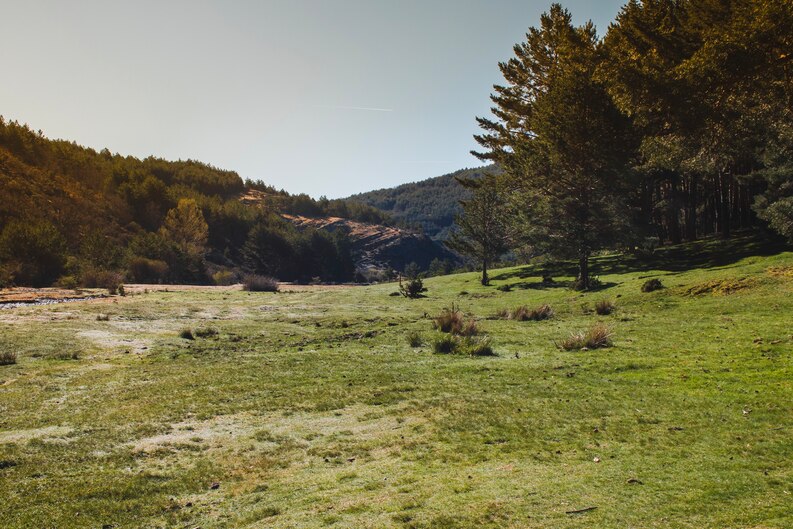 Cuantos Metros se Necesitan Para Construir Una Casa en Terreno Rústico