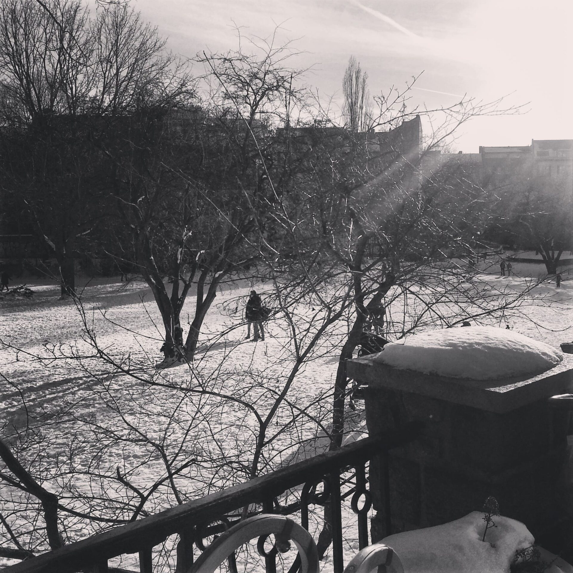 Volkspark Berlin