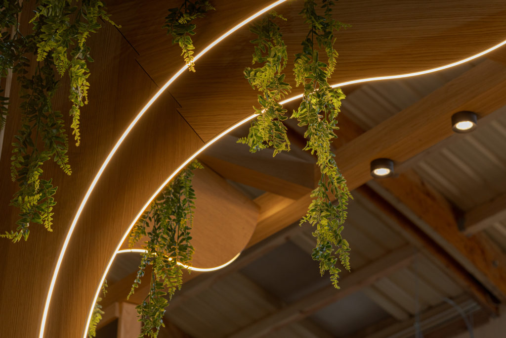 Detail der Baumkrone mit Holzbögen und hängender Vegetation in El Santuario, von Klic Arquitectos